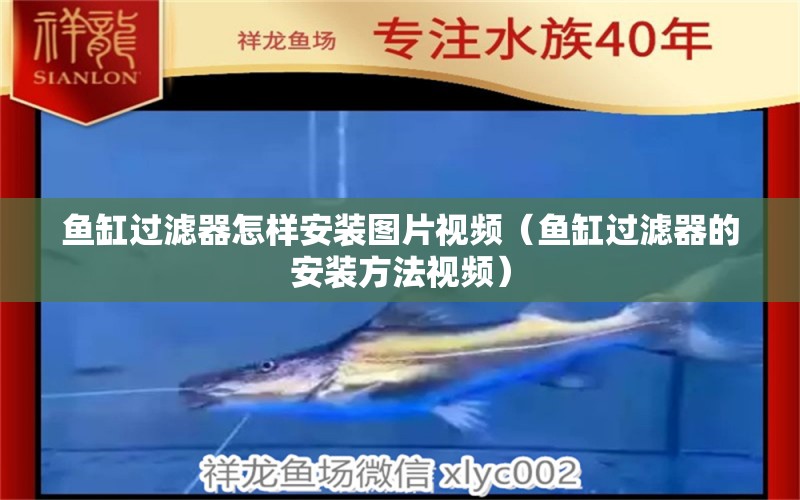 魚缸過濾器怎樣安裝圖片視頻（魚缸過濾器的安裝方法視頻）