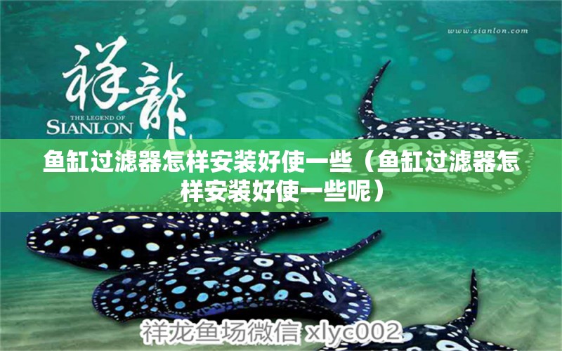 魚缸過(guò)濾器怎樣安裝好使一些（魚缸過(guò)濾器怎樣安裝好使一些呢） 祥龍水族醫(yī)院