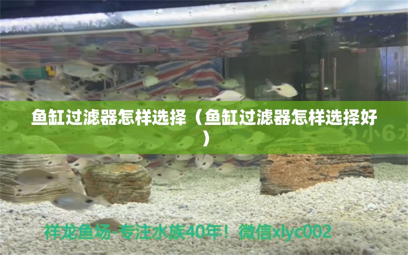 魚缸過濾器怎樣選擇（魚缸過濾器怎樣選擇好）