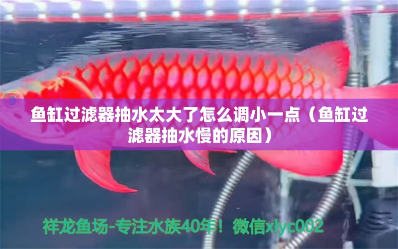 魚缸過(guò)濾器抽水太大了怎么調(diào)小一點(diǎn)（魚缸過(guò)濾器抽水慢的原因） 定時(shí)器/自控系統(tǒng)