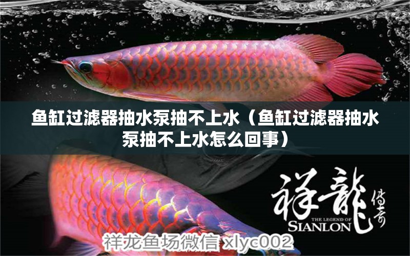 魚缸過濾器抽水泵抽不上水（魚缸過濾器抽水泵抽不上水怎么回事） 其他品牌魚缸