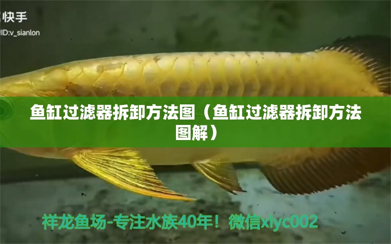 魚缸過濾器拆卸方法圖（魚缸過濾器拆卸方法圖解） 其他品牌魚缸