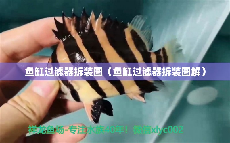 魚缸過濾器拆裝圖（魚缸過濾器拆裝圖解） 觀賞魚市場（混養(yǎng)魚）