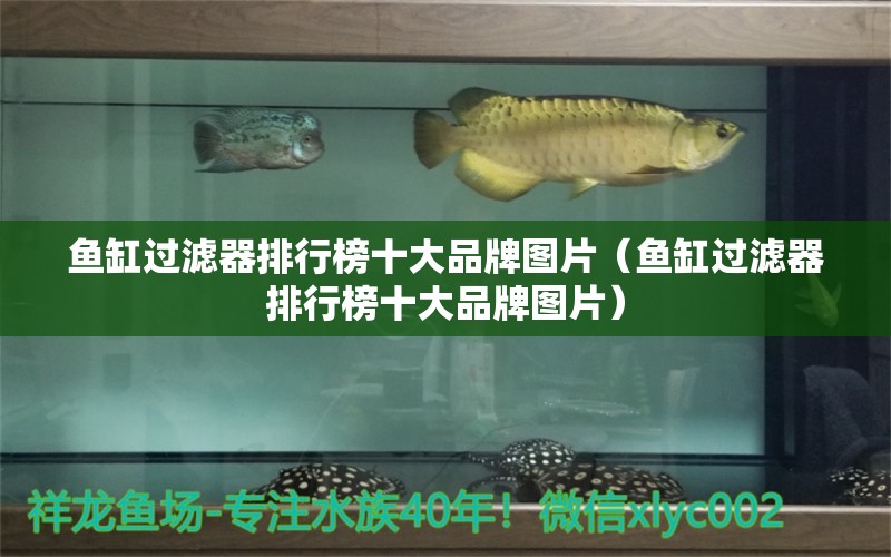 魚缸過濾器排行榜十大品牌圖片（魚缸過濾器排行榜十大品牌圖片） 羅漢魚批發(fā)