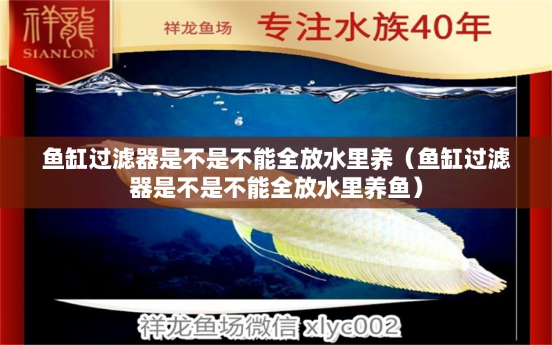 魚(yú)缸過(guò)濾器是不是不能全放水里養(yǎng)（魚(yú)缸過(guò)濾器是不是不能全放水里養(yǎng)魚(yú)） 祥龍魚(yú)場(chǎng)