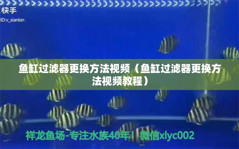 魚缸過濾器更換方法視頻（魚缸過濾器更換方法視頻教程） 其他品牌魚缸