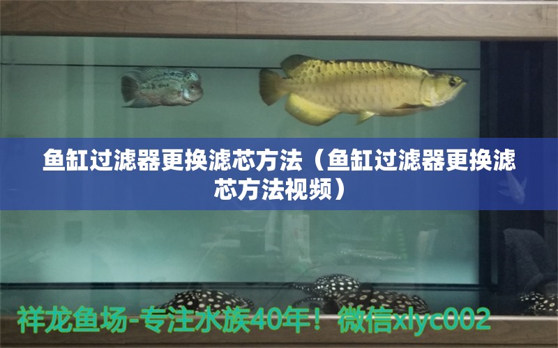 魚缸過濾器更換濾芯方法（魚缸過濾器更換濾芯方法視頻）