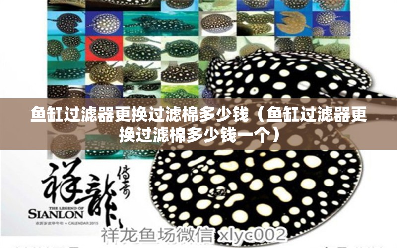 魚缸過(guò)濾器更換過(guò)濾棉多少錢（魚缸過(guò)濾器更換過(guò)濾棉多少錢一個(gè)）