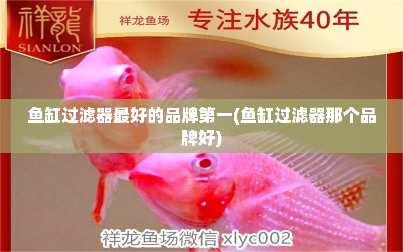 魚缸過濾器最好的品牌第一(魚缸過濾器那個品牌好) 泰國虎魚（泰虎）