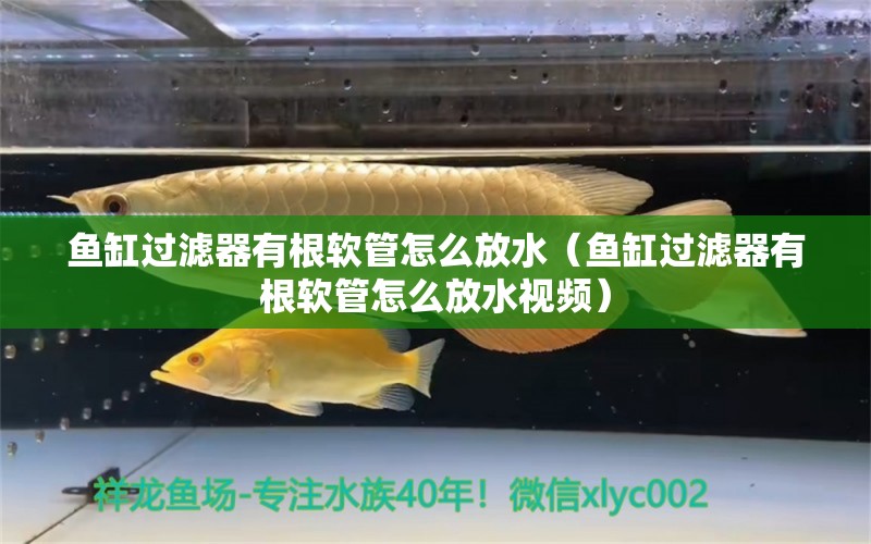 魚(yú)缸過(guò)濾器有根軟管怎么放水（魚(yú)缸過(guò)濾器有根軟管怎么放水視頻）