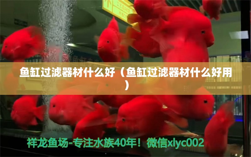 魚缸過濾器材什么好（魚缸過濾器材什么好用）