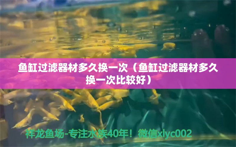 魚缸過濾器材多久換一次（魚缸過濾器材多久換一次比較好）