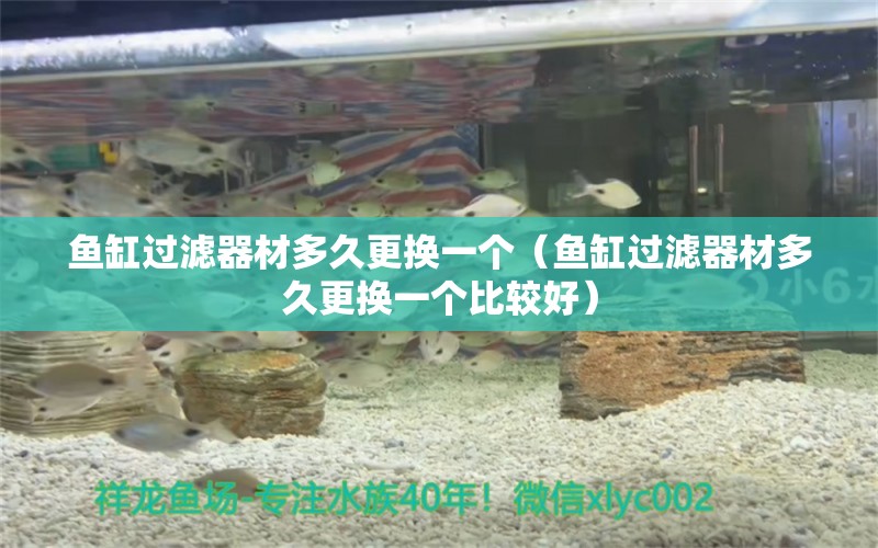 魚(yú)缸過(guò)濾器材多久更換一個(gè)（魚(yú)缸過(guò)濾器材多久更換一個(gè)比較好） 其他品牌魚(yú)缸