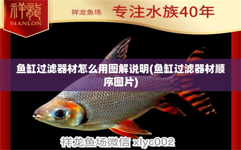 魚缸過濾器材怎么用圖解說明(魚缸過濾器材順序圖片) 泰國虎魚（泰虎）