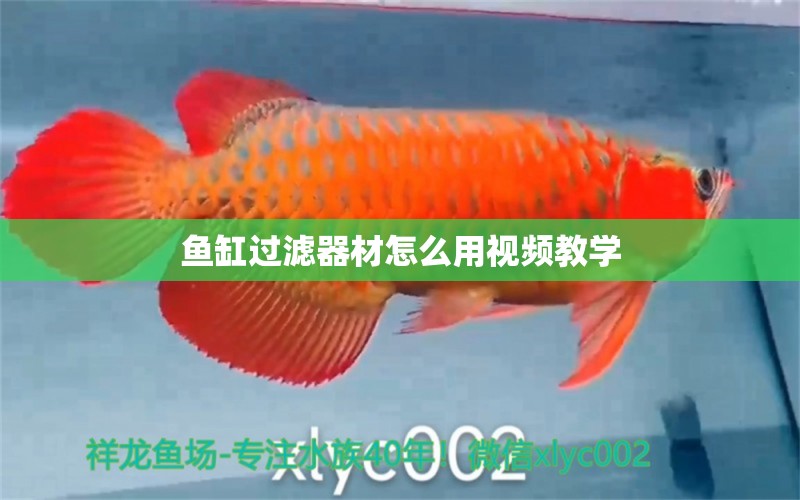 魚缸過濾器材怎么用視頻教學(xué) 祥龍魚場