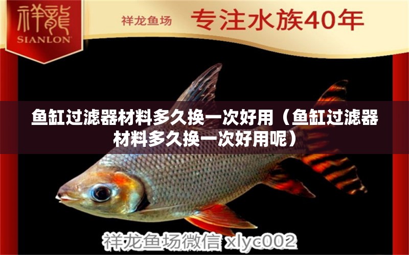 魚缸過濾器材料多久換一次好用（魚缸過濾器材料多久換一次好用呢）