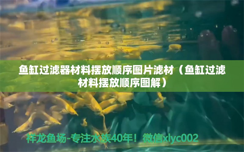 魚缸過濾器材料擺放順序圖片濾材（魚缸過濾材料擺放順序圖解） 黑金魟魚