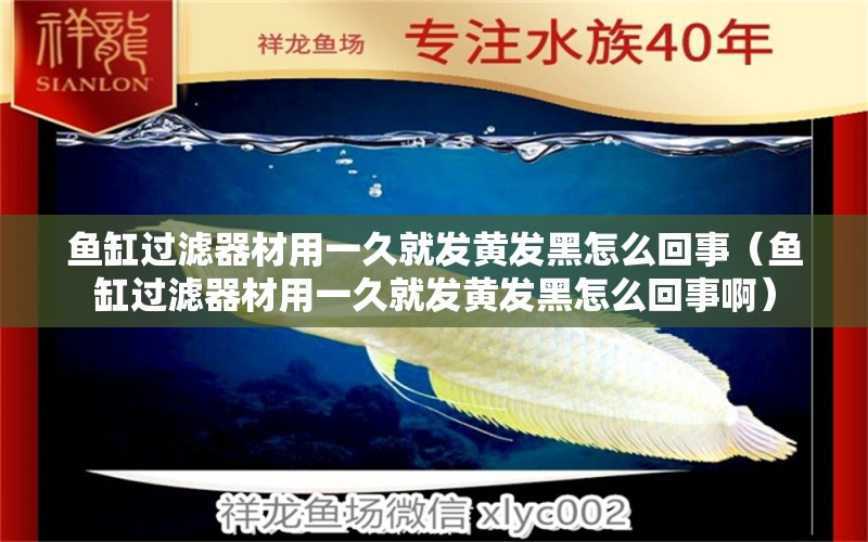 魚缸過濾器材用一久就發(fā)黃發(fā)黑怎么回事（魚缸過濾器材用一久就發(fā)黃發(fā)黑怎么回事?。?祥龍水族醫(yī)院