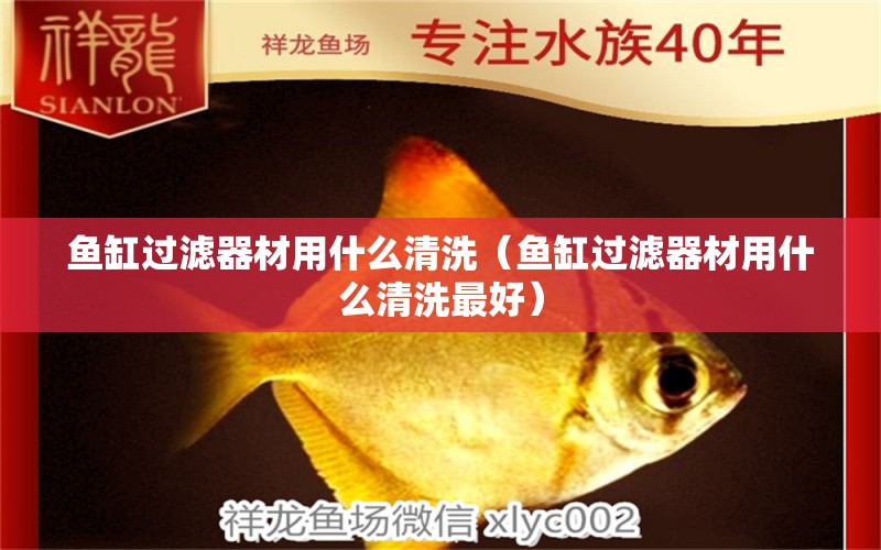 魚缸過濾器材用什么清洗（魚缸過濾器材用什么清洗最好）