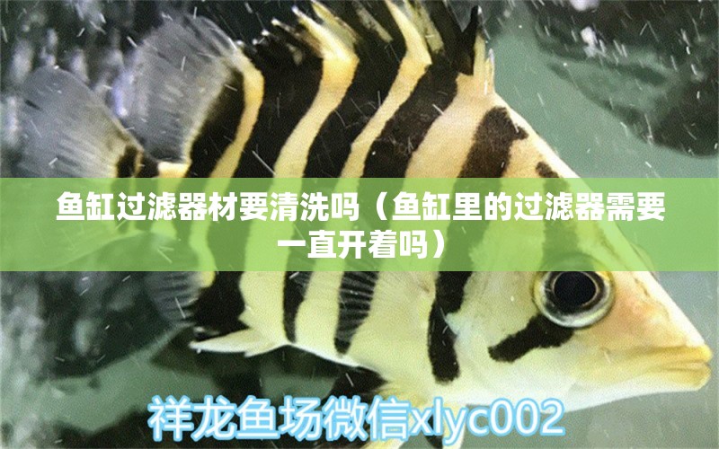 魚缸過濾器材要清洗嗎（魚缸里的過濾器需要一直開著嗎）