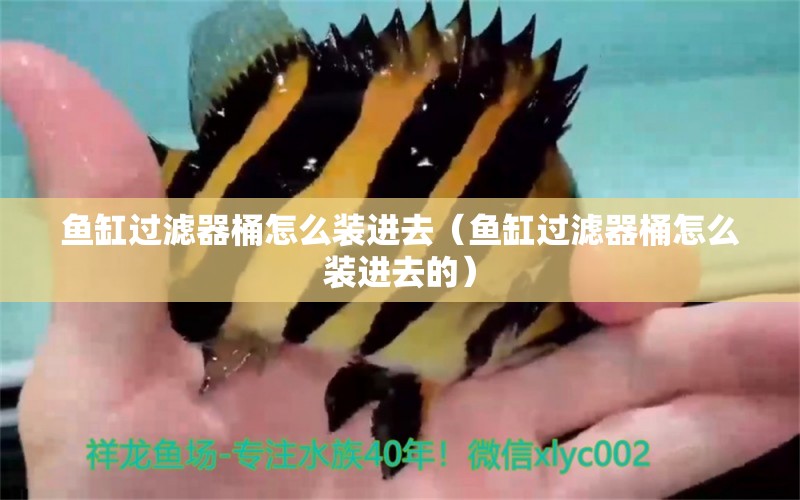 魚缸過濾器桶怎么裝進(jìn)去（魚缸過濾器桶怎么裝進(jìn)去的）