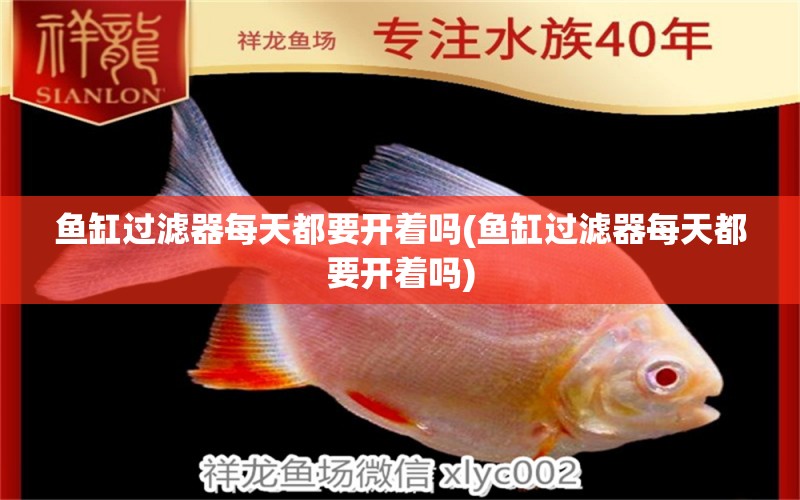 魚缸過濾器每天都要開著嗎(魚缸過濾器每天都要開著嗎)