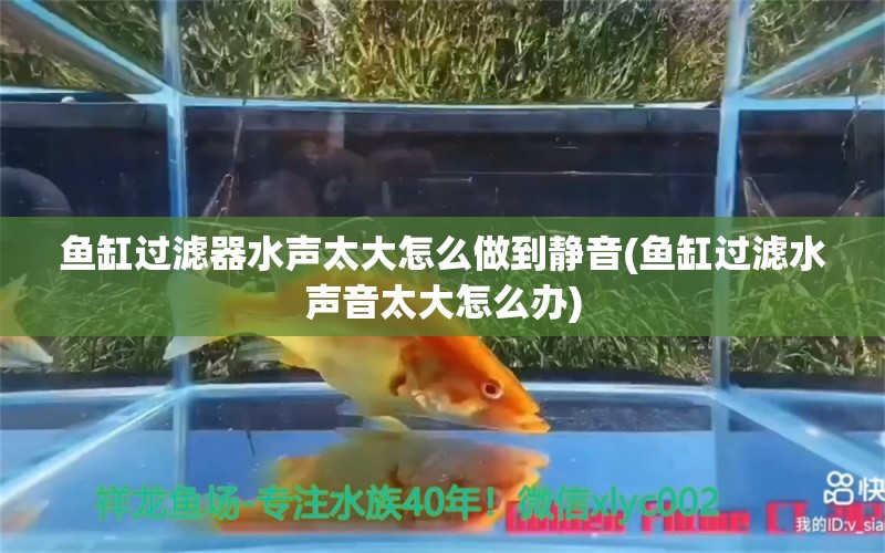 魚缸過濾器水聲太大怎么做到靜音(魚缸過濾水聲音太大怎么辦) 伊巴卡魚