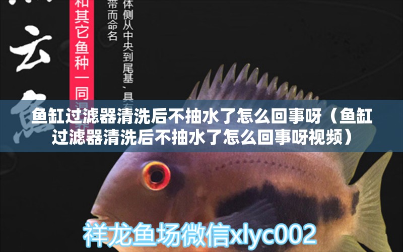 魚缸過濾器清洗后不抽水了怎么回事呀（魚缸過濾器清洗后不抽水了怎么回事呀視頻）