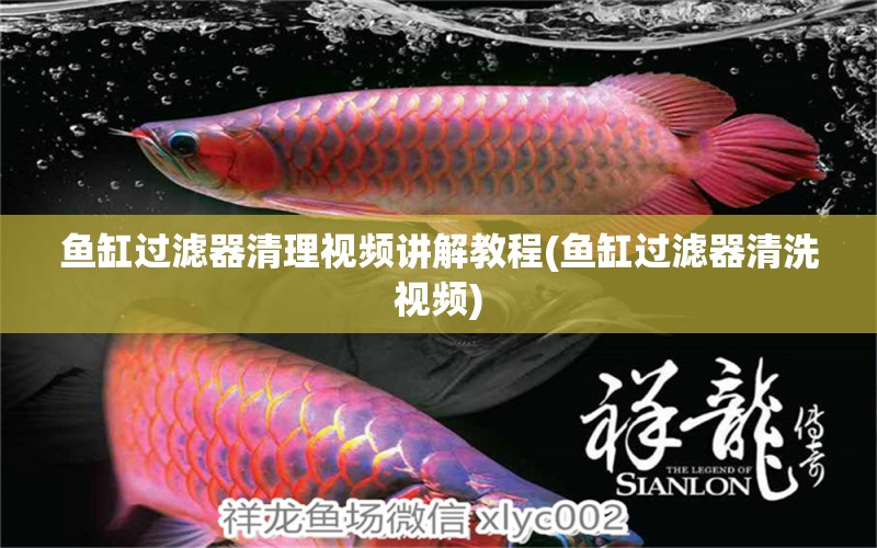 魚缸過濾器清理視頻講解教程(魚缸過濾器清洗視頻) 斑馬鴨嘴魚