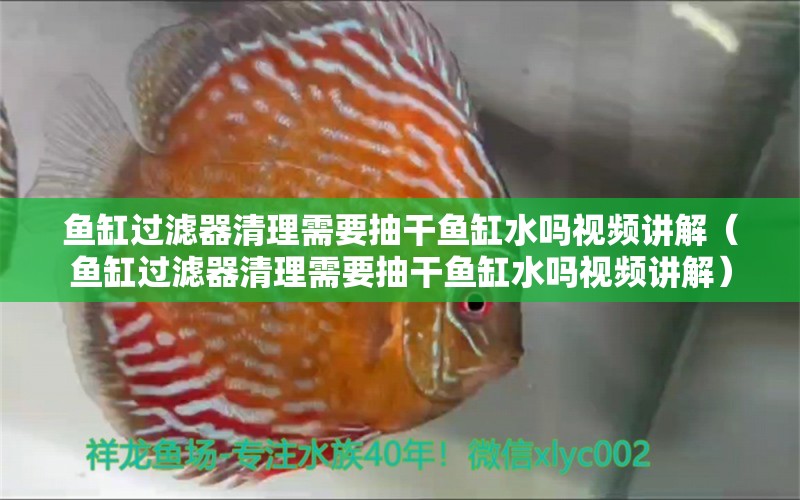 魚缸過濾器清理需要抽干魚缸水嗎視頻講解（魚缸過濾器清理需要抽干魚缸水嗎視頻講解） 其他品牌魚缸