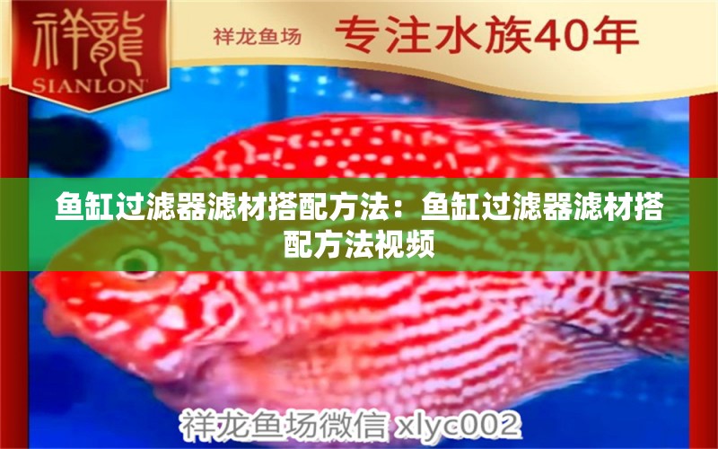 魚缸過濾器濾材搭配方法：魚缸過濾器濾材搭配方法視頻