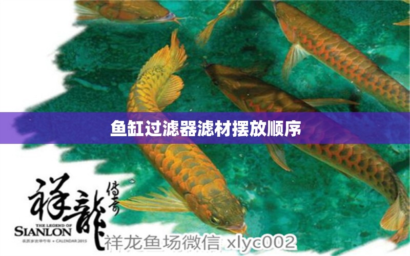 魚缸過濾器濾材擺放順序 祥龍魚場(chǎng)