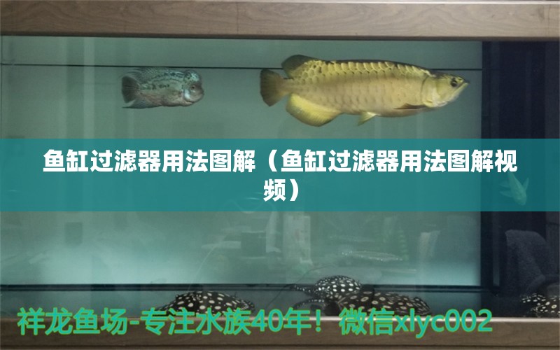 魚缸過濾器用法圖解（魚缸過濾器用法圖解視頻） 觀賞魚市場（混養(yǎng)魚）