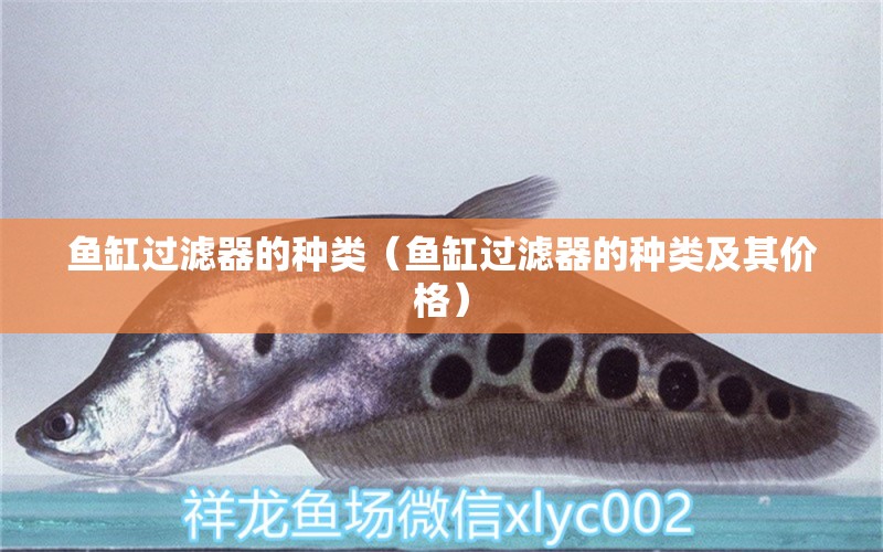 魚缸過濾器的種類（魚缸過濾器的種類及其價格）