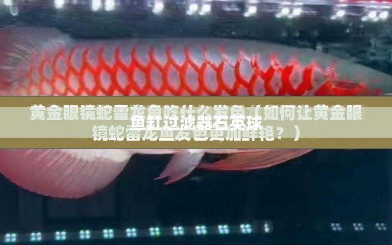 魚缸過濾器石英球 水族問答 第1張