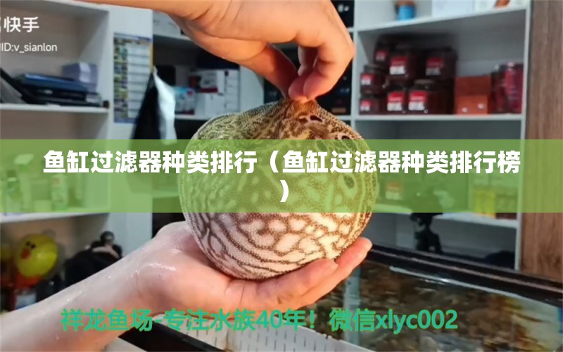 魚缸過濾器種類排行（魚缸過濾器種類排行榜）