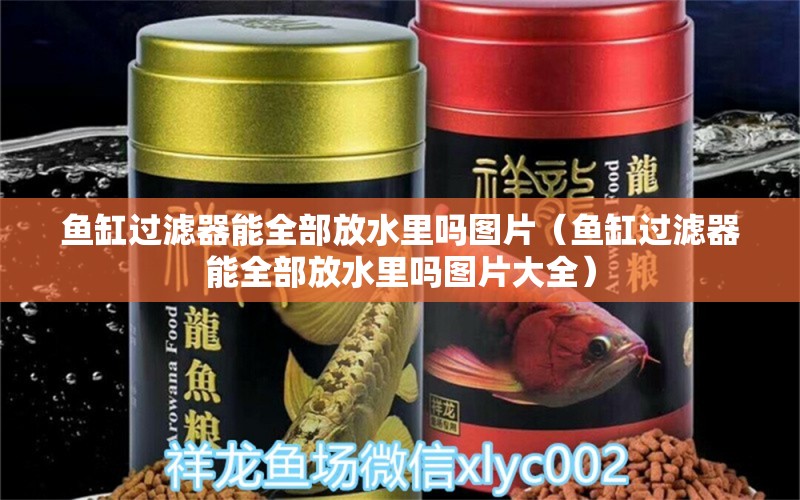 魚缸過濾器能全部放水里嗎圖片（魚缸過濾器能全部放水里嗎圖片大全）