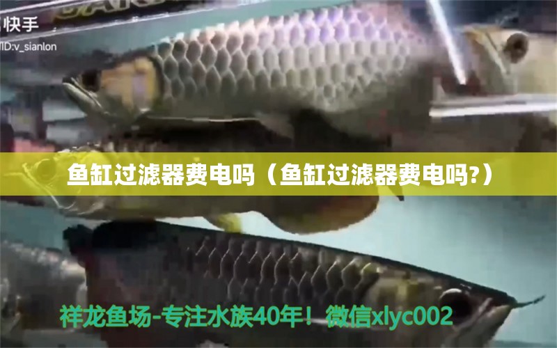 魚缸過(guò)濾器費(fèi)電嗎（魚缸過(guò)濾器費(fèi)電嗎?）