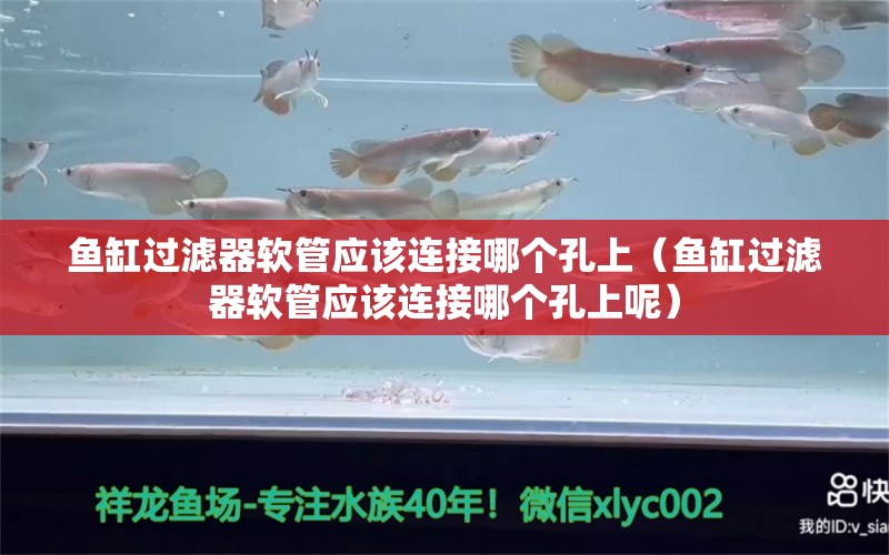 魚缸過(guò)濾器軟管應(yīng)該連接哪個(gè)孔上（魚缸過(guò)濾器軟管應(yīng)該連接哪個(gè)孔上呢） 其他品牌魚缸