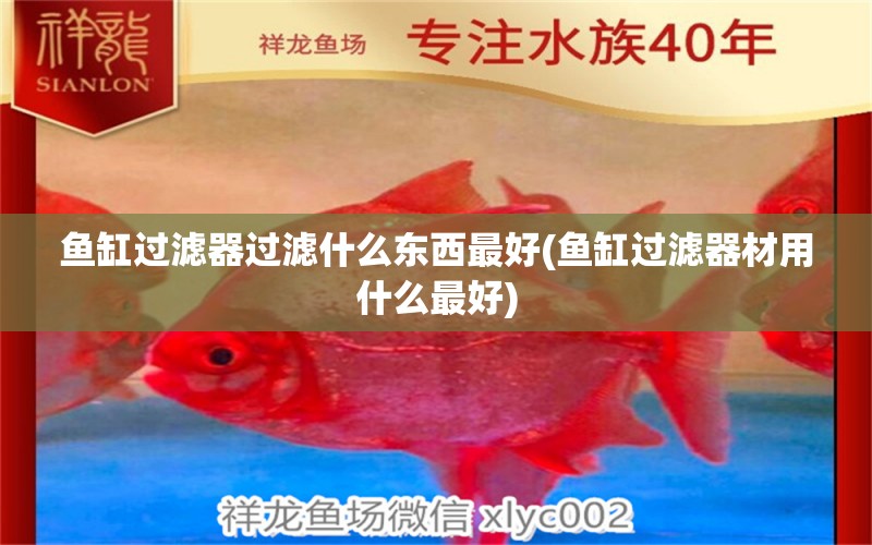 魚缸過濾器過濾什么東西最好(魚缸過濾器材用什么最好) 黃金斑馬魚