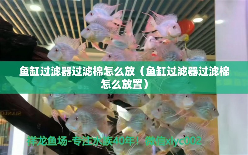 魚缸過(guò)濾器過(guò)濾棉怎么放（魚缸過(guò)濾器過(guò)濾棉怎么放置）