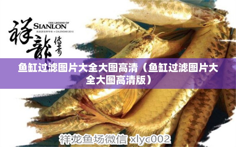 魚缸過濾圖片大全大圖高清（魚缸過濾圖片大全大圖高清版） 黃金鴨嘴魚