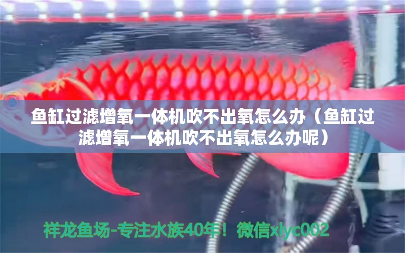 魚缸過濾增氧一體機(jī)吹不出氧怎么辦（魚缸過濾增氧一體機(jī)吹不出氧怎么辦呢） 大正錦鯉魚