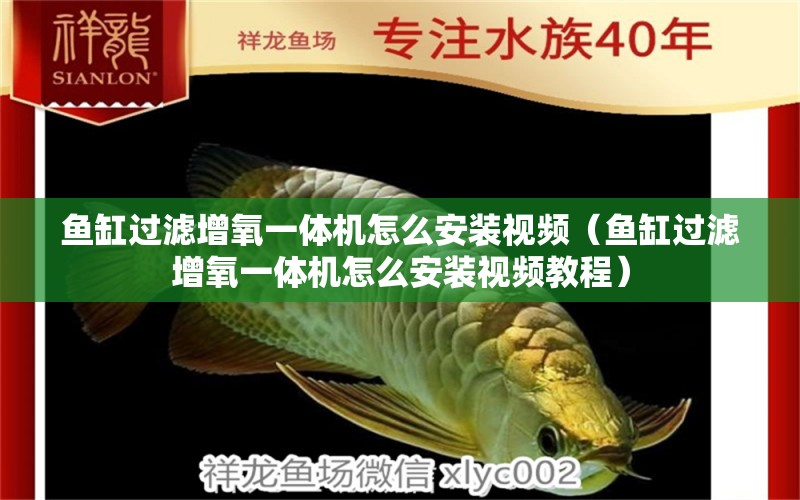 魚缸過濾增氧一體機怎么安裝視頻（魚缸過濾增氧一體機怎么安裝視頻教程）