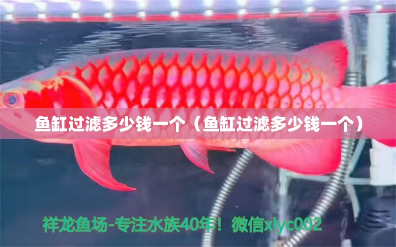 魚缸過濾多少錢一個（魚缸過濾多少錢一個）