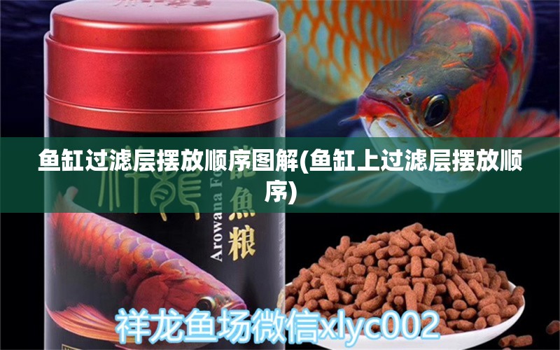 魚缸過濾層擺放順序圖解(魚缸上過濾層擺放順序) 國產(chǎn)元寶鳳凰魚 第1張