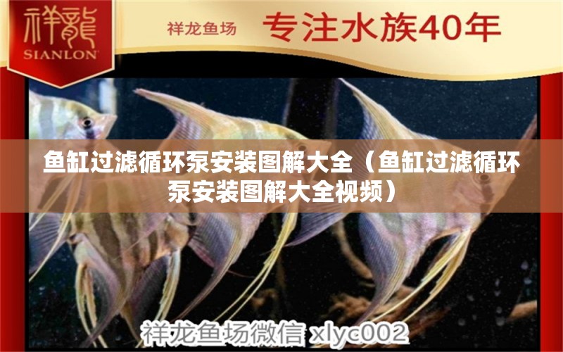 魚(yú)缸過(guò)濾循環(huán)泵安裝圖解大全（魚(yú)缸過(guò)濾循環(huán)泵安裝圖解大全視頻）