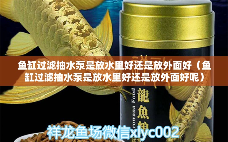 魚缸過濾抽水泵是放水里好還是放外面好（魚缸過濾抽水泵是放水里好還是放外面好呢）