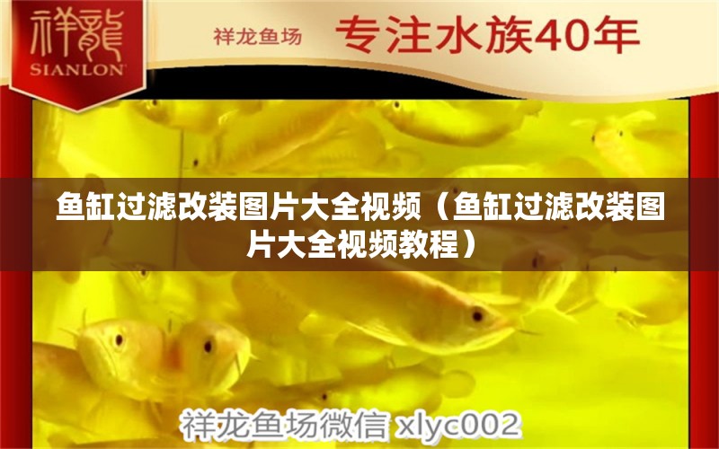 魚缸過濾改裝圖片大全視頻（魚缸過濾改裝圖片大全視頻教程）