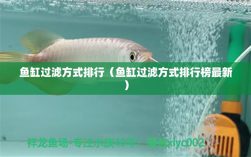 魚缸過濾方式排行（魚缸過濾方式排行榜最新） 其他品牌魚缸